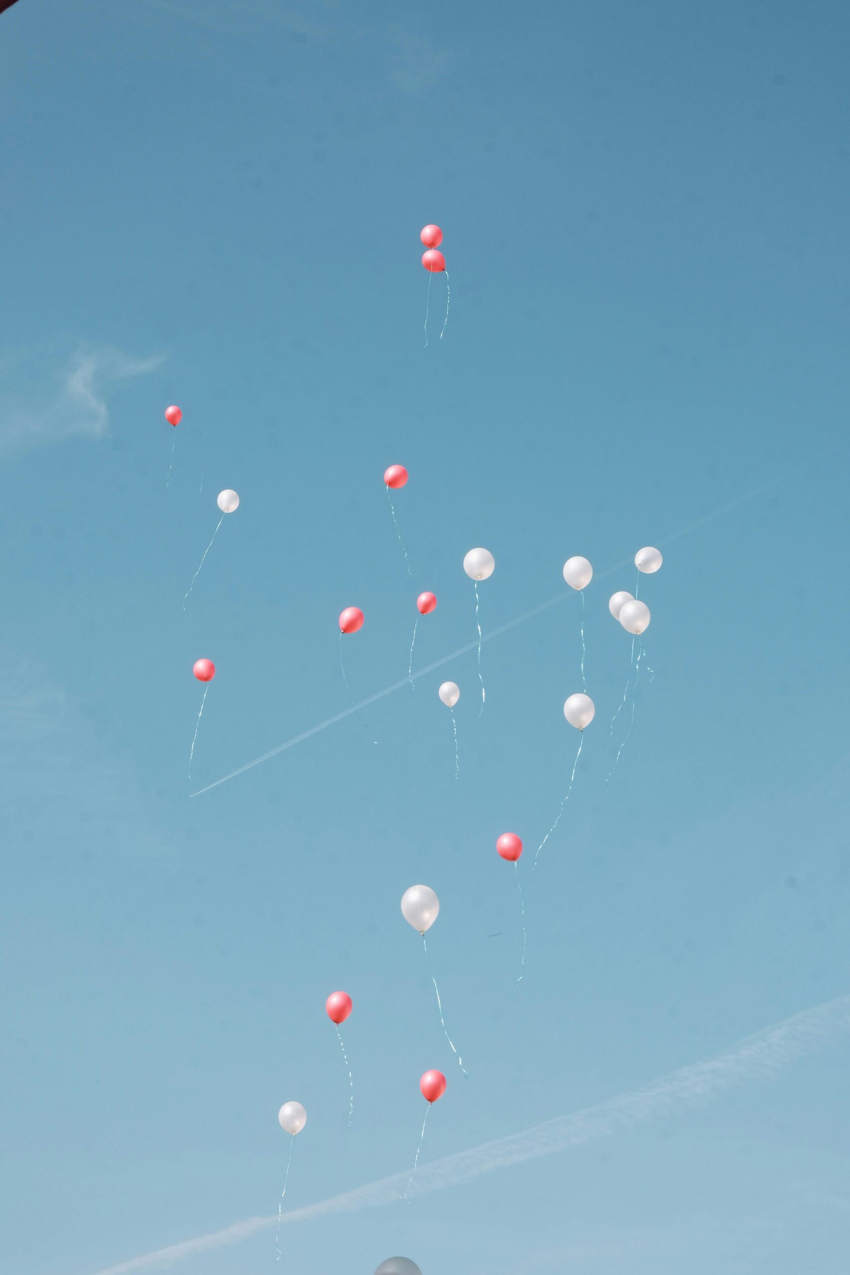Red and white balloons soaring into a clear blue sky, capturing a sense of celebration.