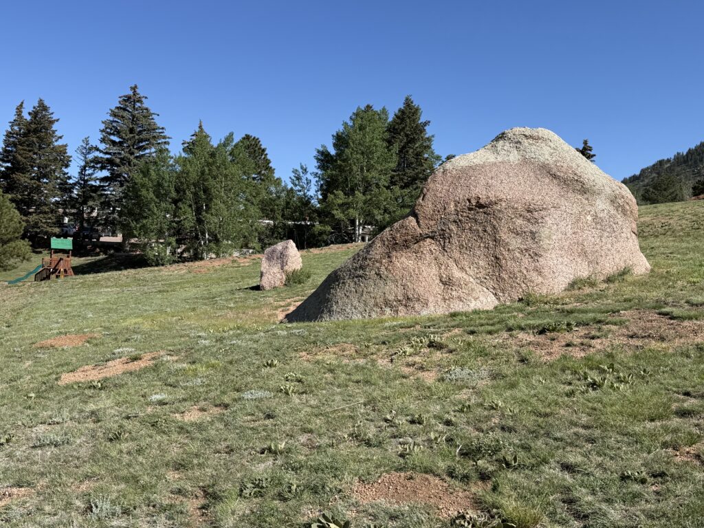 img 0366