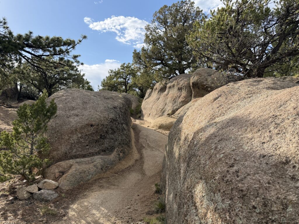 img 0382