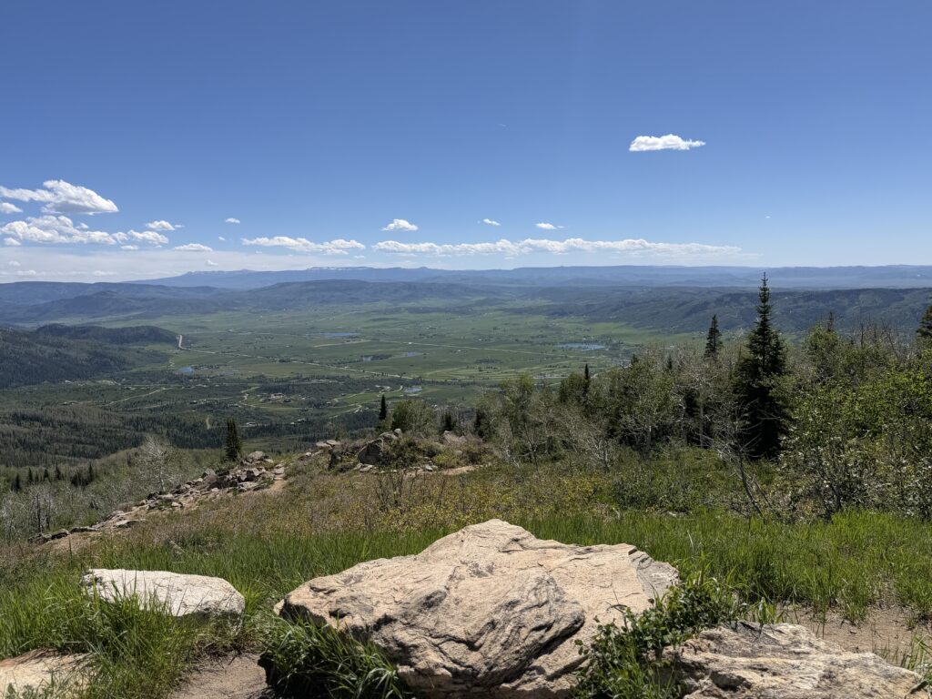 img 0538